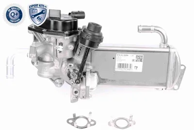 Módulo EGR Vw MULTIVAN T5 · Vw TRANSPORTER T5 Platform/Chassis (7JD, 7JE, 7JL, 7JY, 7JZ, 7F · Vw TRANSPORTER T5 Van