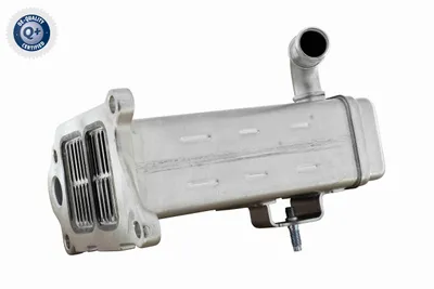 Elemento enfriador, reciclaje gases escape Citroën C8 · Citroën C4 PICASSO I MPV · Citroën JUMPY II