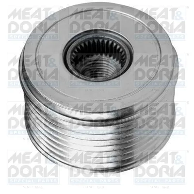Rueda libre alternador Ford TRANSIT Bus · Ford TRANSIT Van · Ford TRANSIT Platform/Chassis