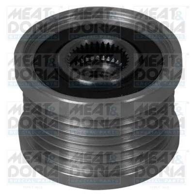 Rueda libre alternador Nissan X-TRAIL II