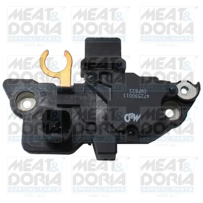 Regulador del alternador Nissan INTERSTAR Bus · Nissan INTERSTAR Van · Nissan PRIMASTAR Bus
