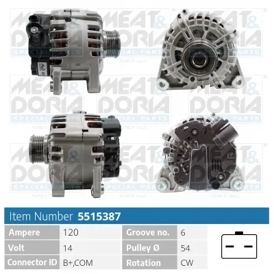 Alternador Citroën C3 II · Citroën DS4 · Citroën C-ELYSEE
