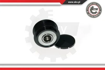 Rueda libre alternador Ford FIESTA Box Body/MPV · Ford FOCUS I · Ford FOCUS I Turnier