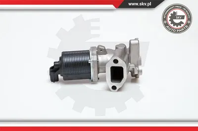 Válvula EGR Fiat PALIO · Fiat PUNTO · Fiat SIENA