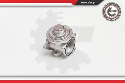 Válvula EGR Audi A2 · Seat IBIZA III · Seat CORDOBA