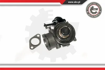 Válvula EGR Vw NEW BEETLE