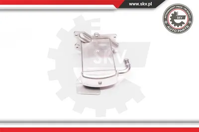 Elemento enfriador, reciclaje gases escape Vw MULTIVAN T5 · Vw TRANSPORTER T5 Platform/Chassis (7JD, 7JE, 7JL, 7JY, 7JZ, 7F · Vw TRANSPORTER T5 Van