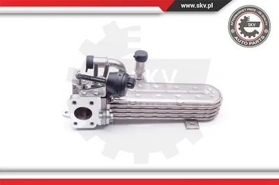 Elemento enfriador, reciclaje gases escape Audi A3 · Audi A3 Sportback · Seat ALTEA