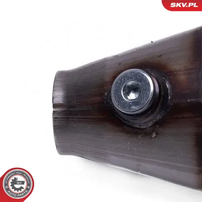 Catalizador, universal ESEN SKV 62SKV119