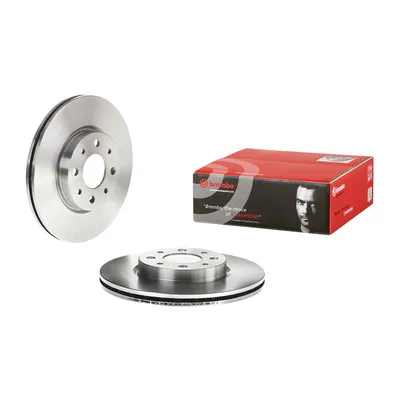 Bremsscheibe vorn belüftet Brembo 257 Ø