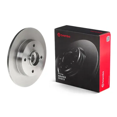 Bremsscheibe hinten mit Radlager Brembo